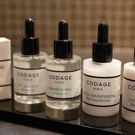 Hotel Le Pavillon De La Reine & Spa, Place Des Vosges 5*