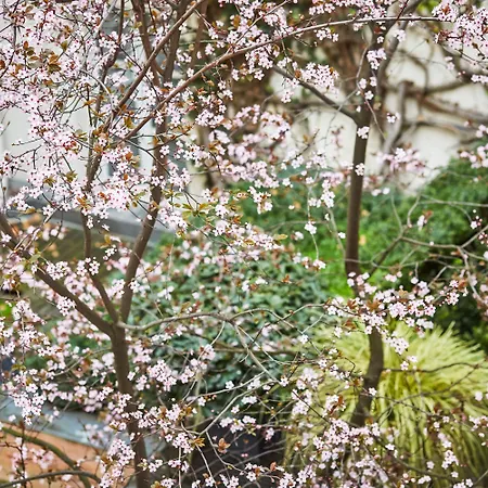 Hotel Le Pavillon De La Reine & Spa, Place Des Vosges Parijs
