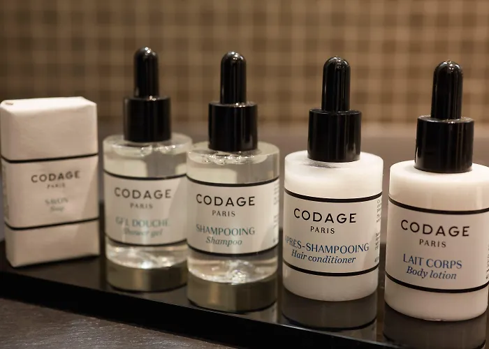 Hotell Le Pavillon De La Reine & Spa, Place Des Vosges 5*